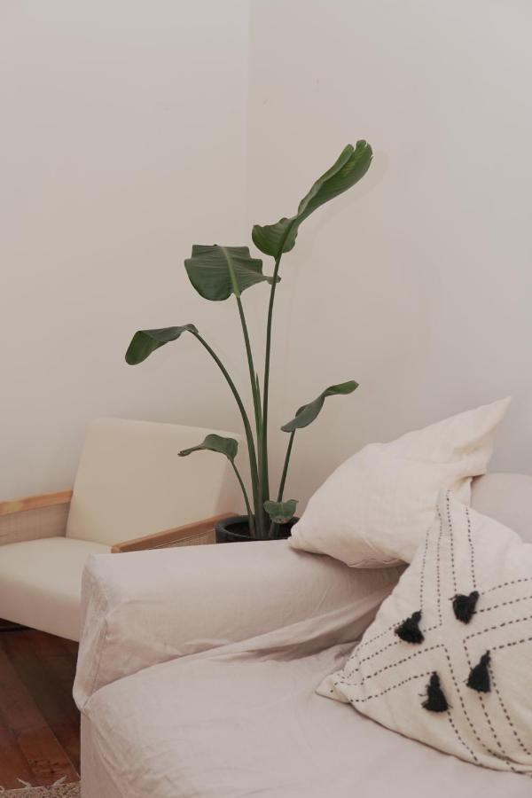 La Coliving Pensão