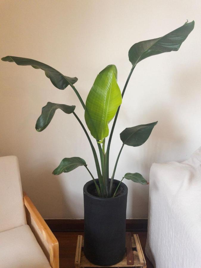 La Coliving Pensão *