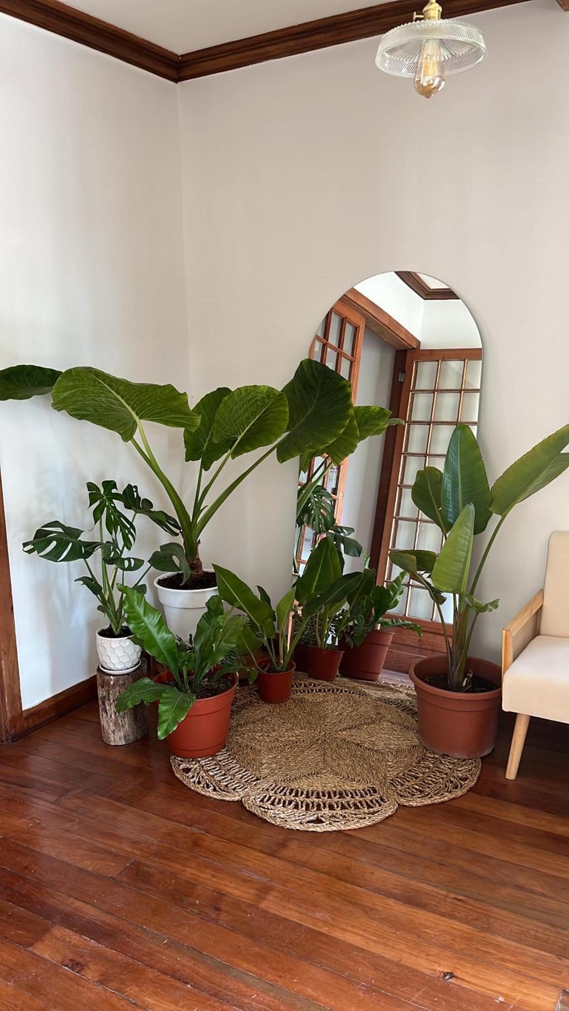 Pensão La Coliving *