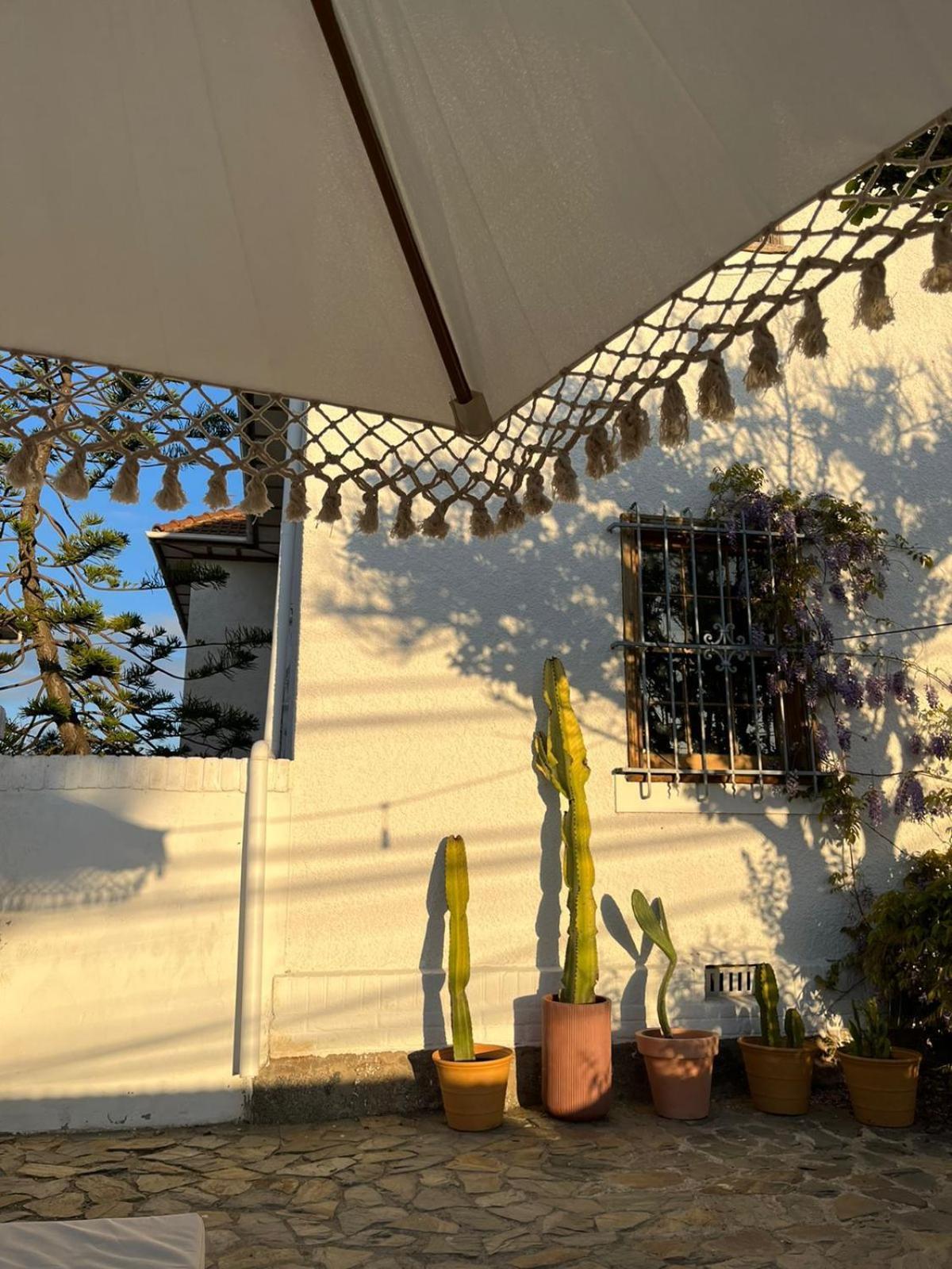 La Coliving Pensão